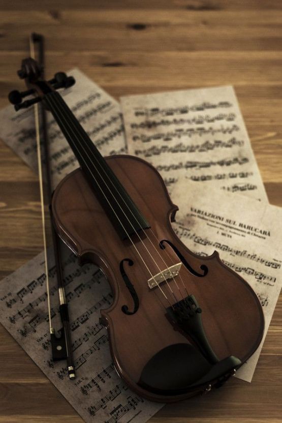 Скри́пка (від староцерк.-слов. скрыпати — «скрипіти», італ. violino) — струнний музичний смичковий інструмент. 